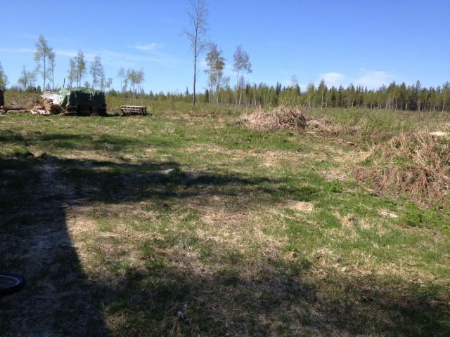 hirttopaikka