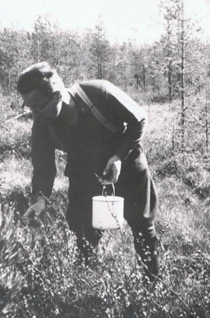 kalle hillassa