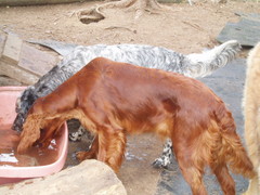 "mulle kans vett&auml;"