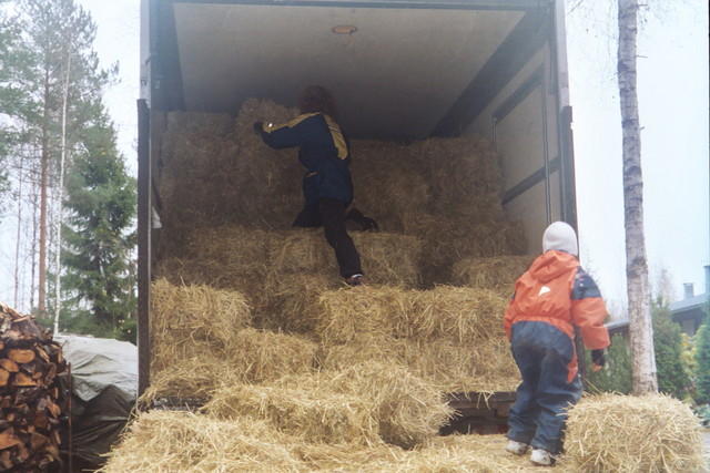 Hein&auml;n haku syksyll&auml; 2004