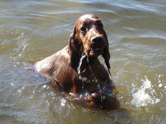 "Saanko mä tulla täältä pois jo?"