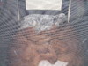 Kuva häkistä Mäntyharjun näyttelyssä. "Sopu sijaa antaa"