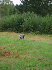 p9030165