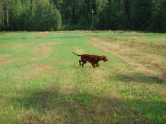 p9030210