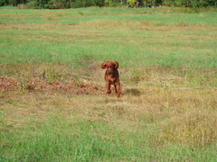p9030303