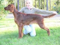 Ella 6 kk