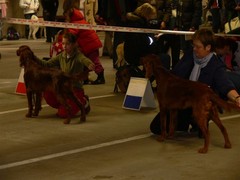 Lahti 4.11.2006