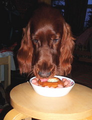 Siis ihanaa kakkua. Nakkia ja muuta herkkua.