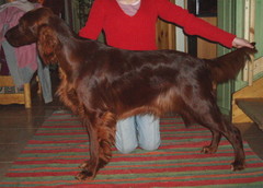 Ella 1 vuotta