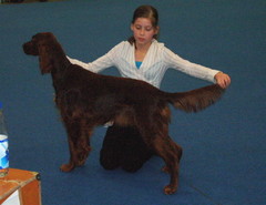 Ella messarissa 2006 JUN ERI