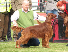 Dennis, Chick Choix Oxford, 6.5.2007 