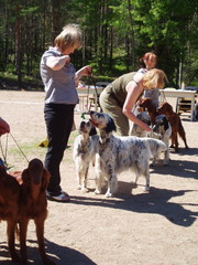 Parikilpailusta Clubbarista 2007