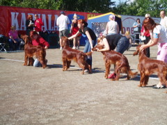 Kouvolan n&auml;yttely 18.8.2007