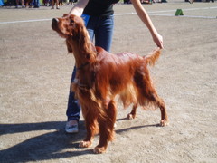 Ella kouvolassa 2007