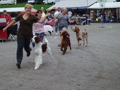 Heinolan n&auml;yttely 19.8.2007