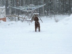 img_2789