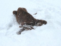 img_2802
