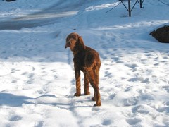 img_2929