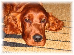 img_2871
