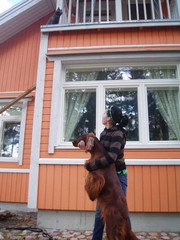 p1010041