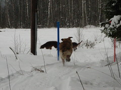 winterday 02-2009 046