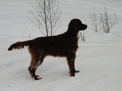 winterday 02-2009 099