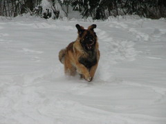 winterday 02-2009 116