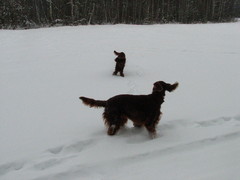winterday 02-2009 141