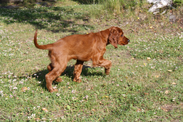 mitahan tuolta loytyisi