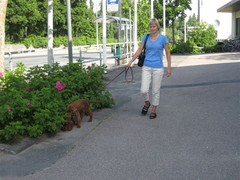 img_3152