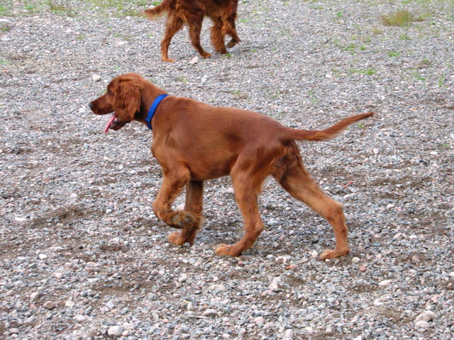 aitaus0809 040