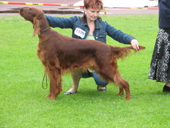 laukaa 12.7.09 078