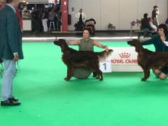 39182312_10156603273304096_6600271900998369280_n