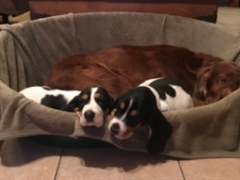 d8f364bd-b855-4f25-9ccd-1d3e0e5b5f72