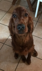 04511c5f-6a70-4325-a036-b7b95199d3ce