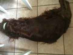 127715fd-f028-41a6-b523-d91a99199a67