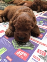 5dcd8ad4-67bb-4c0a-8125-f523cca6072f