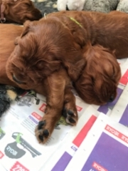 35e75d77-5db8-4efa-acd3-a3dd4491abee