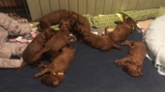 4175c9c7-8b93-4ac9-a2dc-826c87dee151