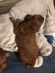 b3fbe734-ba97-4cb1-9bd4-7988f118dfbf