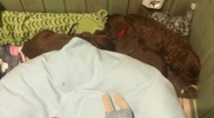 2bfb1851-acad-4093-9790-918628854dc4