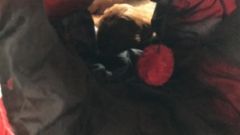 01263727-8db9-4320-b1c5-53a726f8cccb