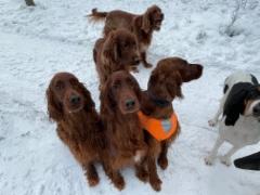 img_5202