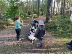 img_8565
