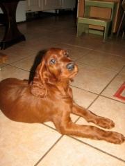 img_0174