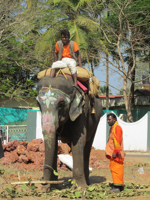 Dumbo ja duunarit.  Elephant and businesmen.  Anjuna, Goa 18.1.