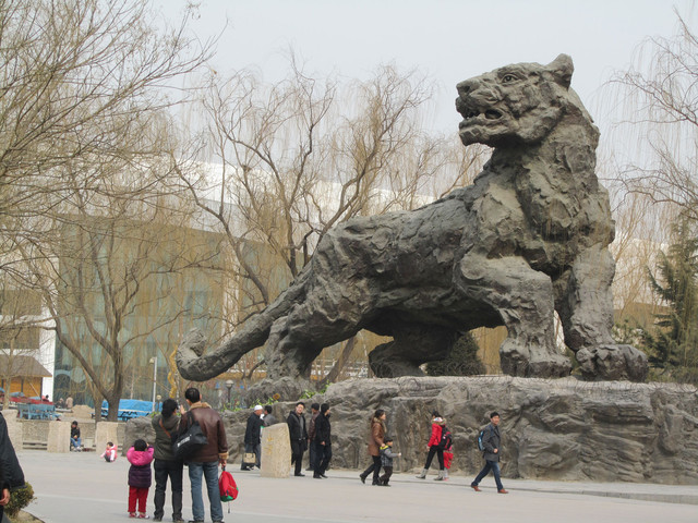 Kaikki on suurta..., Pekingin eläintarha.  Everything is so big....Beijing Zoo.   15.3.