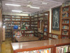 Gandhin kirjasto.  Gandhi's library.  Mumbai 13.1.  Kuva S.P.