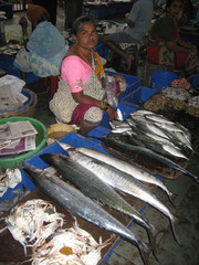 Kuningaskalaa ja muita herkkuja.  Kingfish and other delicasies.  Panjim, Goa 18.1.  Kuva S.P.