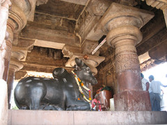 Nandi.  Pattadakal 22.1.  Kuva S.P.